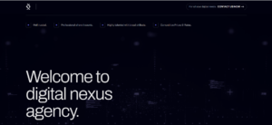 Digital Nexus Agency